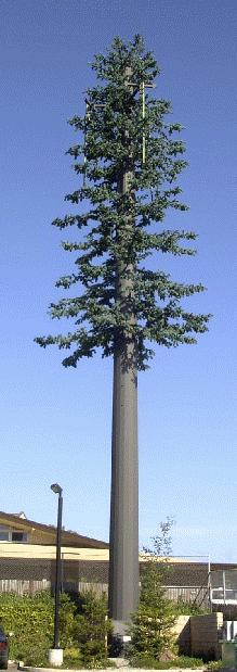 Concealment Towers 13