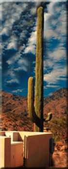 Concealment Towers 16