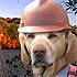 Take the pledge to never test Tthe Mississippi Rule
