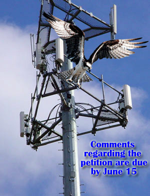 Tower Osprey NEPA