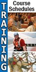 Wireless Training Courses
