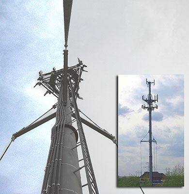 Guying Monopole Guying Monopole